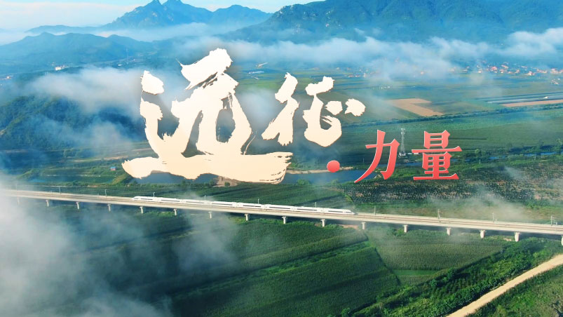 &#23436;&#32654;